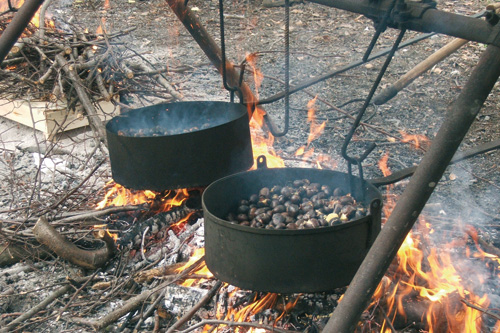 Castagnata