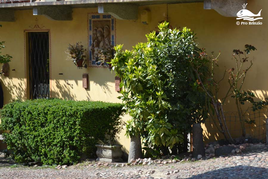Curt di Tulìtt, particolare curt di tulitt 2115